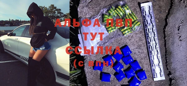 2c-b Горно-Алтайск