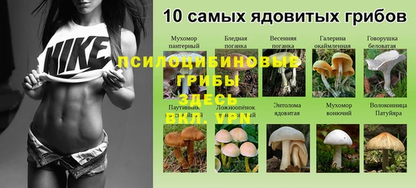 дурь Алзамай