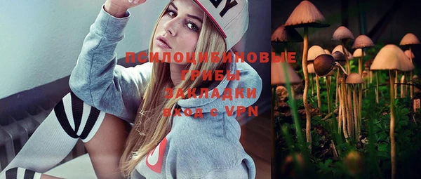 дурь Алзамай