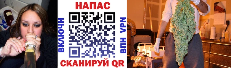 Бошки Шишки THC 21%  Вологда 
